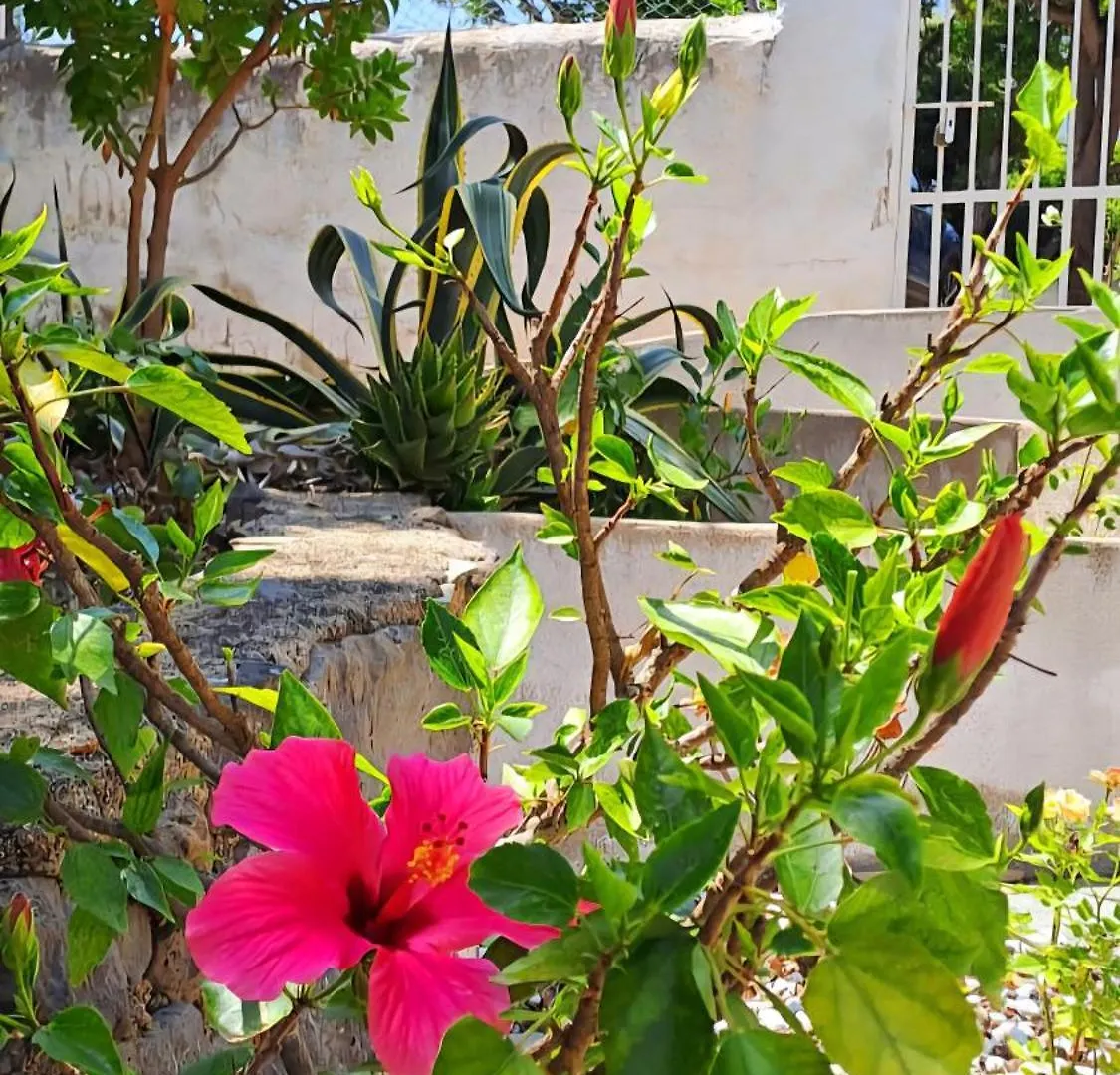 Independent Apartment With Spectacular View Cala Gonone 0*,